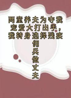 沈辞贺屿徐真真两童养夫为夺我宠爱大打出手，我转身选择残疾佣兵做丈夫全文(沈辞贺屿徐真真)章节免费阅读