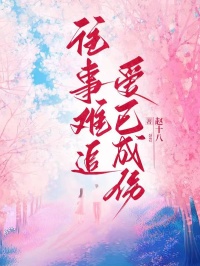 往事难追，爱已成伤无广告阅读 裴言澈江揽月免费在线阅读-暗夜阅读网