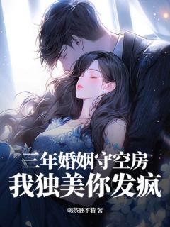 （全集-免费）三年婚姻守空房，我独美你发疯完本小说_叶离沈清逸全文免费阅读-暗夜阅读网