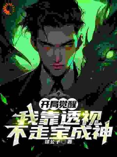 开局觉醒，我靠透视不走宝成神by球公子小说完结版在线阅读