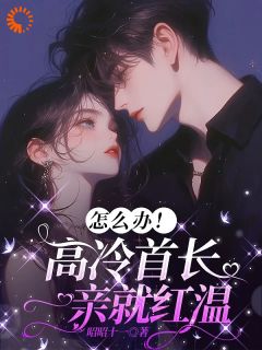 爆款小说由作者昭昭十一所创作的傅初安沈南雾在线阅读-暗夜阅读网
