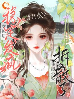 老书虫力荐穿越后稳定发疯，我把公婆拆散了免费无弹窗阅读