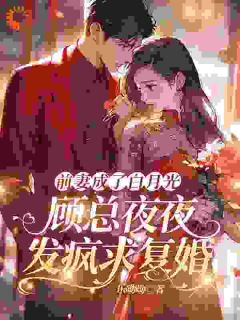 快手姜幼笙顾北琛主角的小说全本章节大结局
