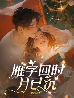 值得熬夜看完的雁字回时月已沉小说阅读