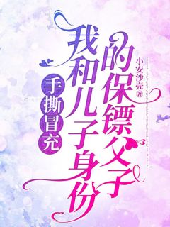 小安沙壳的小说手撕冒充我和儿子身份的保镖父子全文阅读