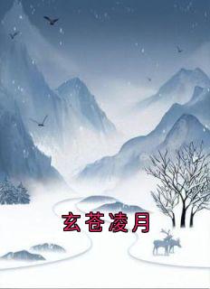 爆款小说由作者凌月所创作的玄苍凌月在线阅读