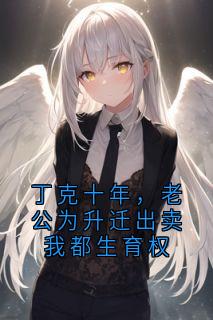 独家丁克十年，老公为升迁出卖我都生育权小说-主角安华黎路轻舟苏韵雪全文免费阅读