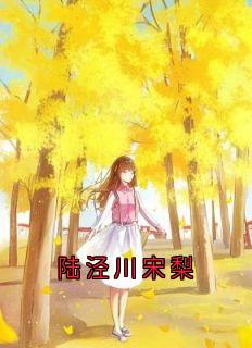 热门小说陆泾川宋梨完整版全文阅读