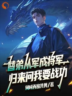 抖音爆款穿越后，我在沙场大放光芒叶临渊叶白无广告阅读