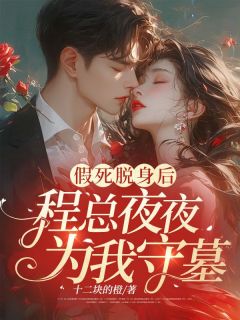 完整版假死脱身后，程总夜夜为我守墓！苏晚程北枭小说免费在线阅读-暗夜阅读网