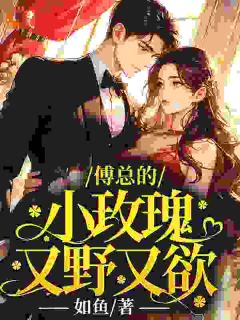 百度贴吧小说傅总的小玫瑰又野又欲，主角安宁傅斯年全文免费