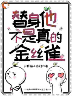 替身他不是真的金丝雀霍行舟沈砚-小说txt全文阅读