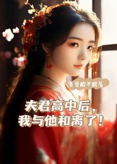 夫君高中后，我与他和离了(秦朗苏丽)小说全章节目录阅读-暗夜阅读网