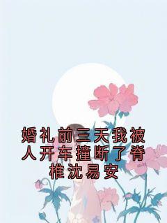 独家婚礼前三天我被人开车撞断了脊椎沈易安小说-主角顾晚沈易安全文免费阅读