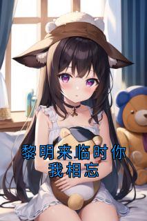 小说推荐黎明来临时你我相忘完结版全章节阅读