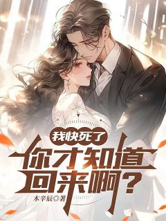 小说推荐我快死了，你才知道回来啊？完结版全章节阅读