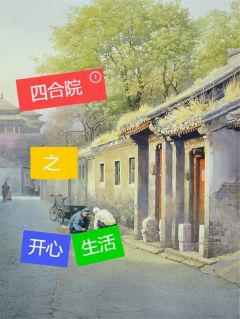四合院之开心生活大结局阅读 张安张宁小说在线章节