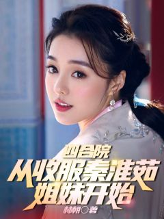 四合院：从收服秦淮茹姐妹开始(新书)小说_何雨柱秦淮茹阅读-暗夜阅读网