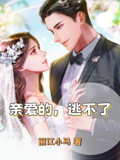 抖音小说亲爱的，逃不了，主角孙书意白泽最后结局小说全文免费