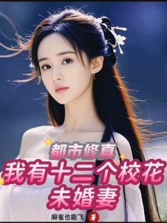 良心推荐都市修真，我有十二个校花未婚妻小说试读