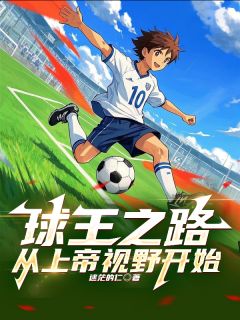 球王之路，从上帝视野开始在哪免费看，王程王浩小说章节目录阅读