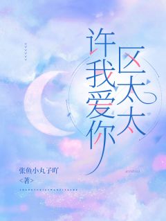 许我爱你，区太太(江薏柠区湛)小说全章节目录阅读