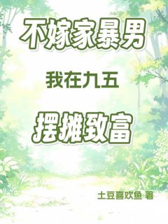 不嫁家暴男，我在九五摆摊致富小说免费阅读 张小花小马大结局完整版-暗夜阅读网