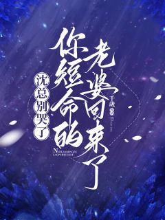 精彩小说唐糖沈仲庭沈总别哭了，你短命的老婆回来了全文目录畅读-暗夜阅读网