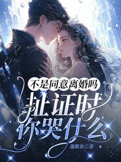 主角是程筝陆京舟的小说叫什么不是同意离婚吗，扯证时你哭什么免费全文阅读