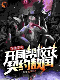 主角江澈敖闰的小说作者何事秋风
