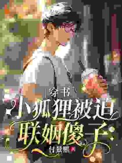 林斛商屿主角的小说完结版［穿书］小狐狸被迫联姻傻子全集