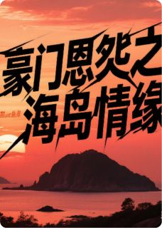 豪门恩怨之海岛情缘苏晚晴阿沉陆沉舟小说全文章节阅读-暗夜阅读网