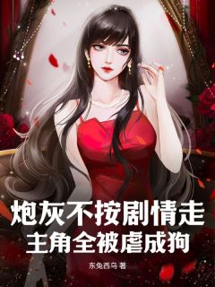 精品小说炮灰不按剧情走，主角全被虐成狗全文目录畅读