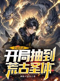 抖音小说全球高武，开局抽到荒古圣体主角许天苏梦玲全文小说免费阅读