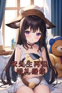 (精品)宋先生再见,婚礼继续小说-暗夜阅读网