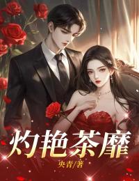 书荒必备林云华苏麒安小说