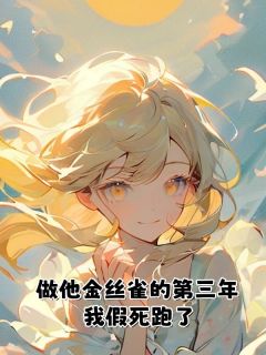 佚名写的小说做他金丝雀的第三年，我假死跑了慕笙傅霆湛全文阅读