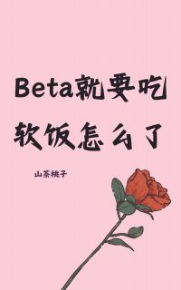 抖音小说【文絮安格斯】全集免费版在线阅读