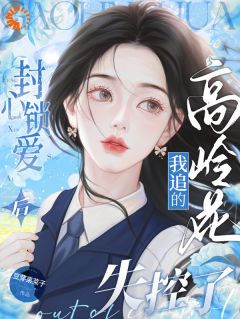 封心锁爱后，我追的高岭花失控了文昭岑寂-小说txt全文阅读