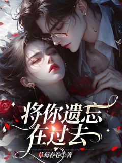 将你遗忘在过去免费阅读全文，主角陆迟孟听岚小说