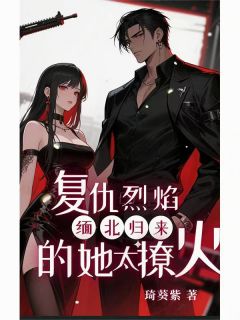 新上复仇烈焰：缅北归来的她太撩火琦葵紫小说免费阅读