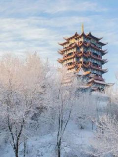 全章节小说此情不可待失愉最新阅读