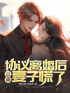 全章节小说协议离婚后，总裁妻子慌了爱吃波力海苔最新阅读