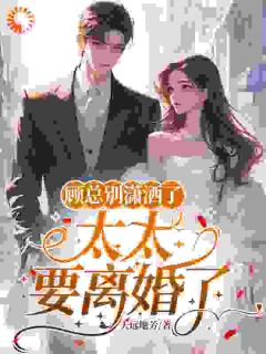 池茜顾烨成顾总别潇洒了，太太要离婚了全文(池茜顾烨成)章节免费阅读-暗夜阅读网