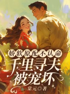 娇软原配不认命，千里寻夫被宠坏林安安楚明舟-小说未删减阅读