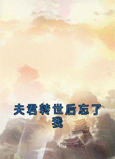 夫君转世后忘了我（全本）楚昭昭赫连璟完整章节列表免费阅读-暗夜阅读网