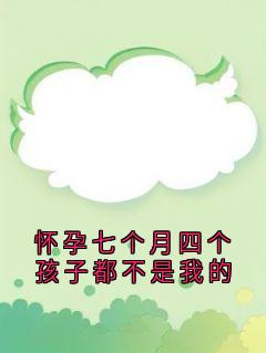 小说怀孕七个月四个孩子都不是我的主角为宋冉江城柳丝丝楚时宴免费阅读