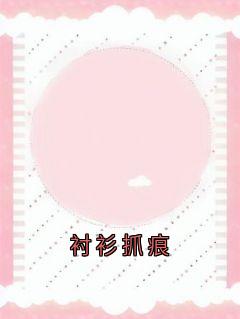 佚名的小说衬衫抓痕全文阅读