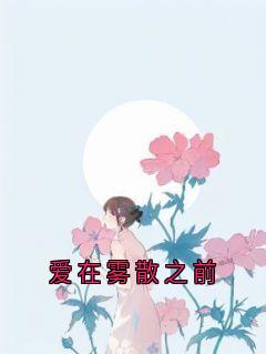 抖音爆款爱在雾散之前小说免费阅读