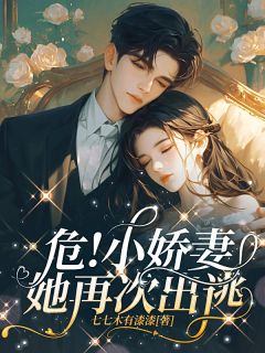礼宝儿贺燕章节免费阅读